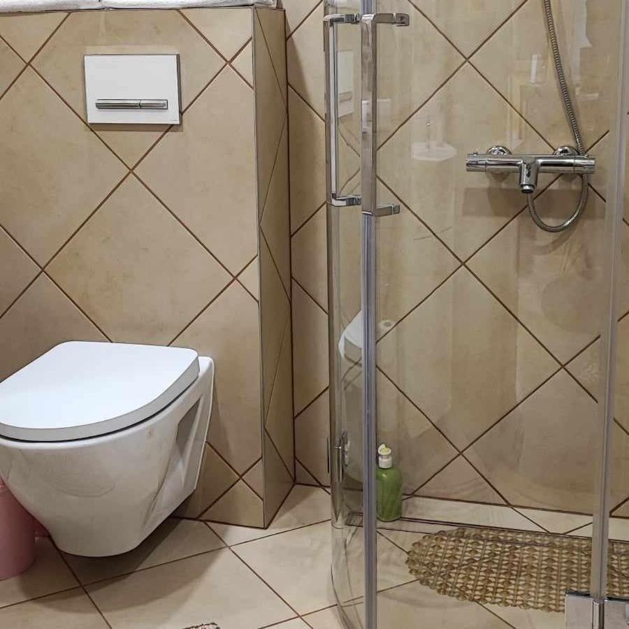 Du Draugai Apartment Druskininkai Bagian luar foto
